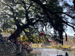 -云水谣景区