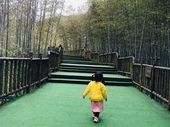 -陶祖圣境风景区