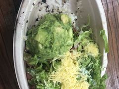 -油梨树 AVOCADO TREE(亮马桥店)