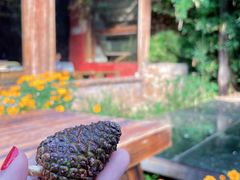 -田德能咖啡博物馆