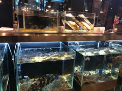 水产区-璞御·海鲜·雪花牛肉局(宾水西道店)