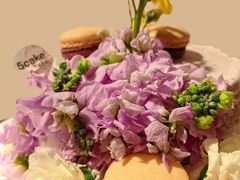 -5Cake五度无蔗糖低脂蛋糕(陶然亭店)