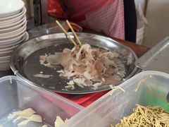 -邓氏大薄片