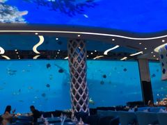 -瑞德姆美人鱼海底演艺主题餐厅(亚龙湾店)