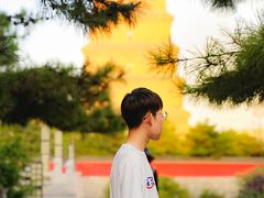 -大雁塔北广场音乐喷泉