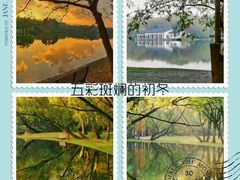 -上海共青森林公园