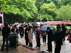 -人民公园-相亲角