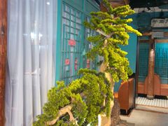 -渝乡辣婆婆·川菜 水煮鱼(中山西路店)