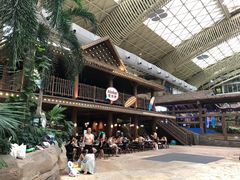 -杭州开元森泊度假乐园