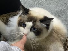 -零纪元VR体验馆·桌游(黄浦店)