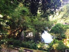 -大埔公路-马料水段香港中文大学(公交站)