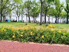 -南汇嘴观海公园