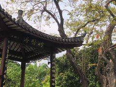 -四海公园(南山区)
