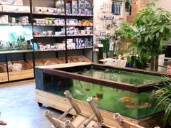 -趣陶陶艺手工坊(新世界百货重庆店)