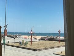 -港畔赶海蒸汽海鲜烧烤自助(仙螺岛店)