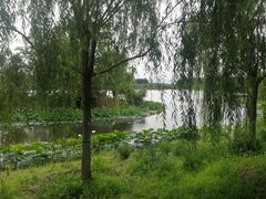 -东郊湿地公园