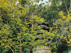 -深圳国际园林花卉博览园