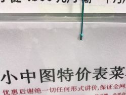 -雕龍堂纹身穿孔洗纹身培训