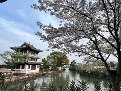 -无锡蠡湖国家湿地公园-蠡园
