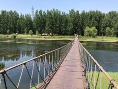 -白河湾生态旅游一条川