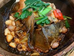-大榕树下顺德菜(融创茂店)