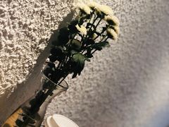 -Cafe on warm(丹霞店)