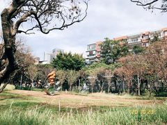 -四海公园(南山区)
