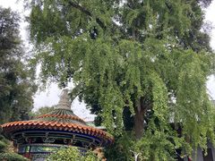 -南华寺素食馆(南华禅寺店)