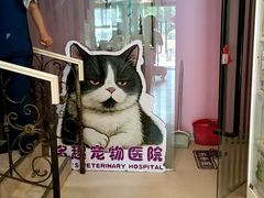 -哆趣宠物医院·眼科·内镜·急重症转诊中心(上海店)