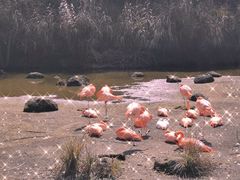 -千岛湖东南湖区