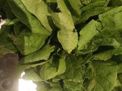 -王家渡火锅店(亦庄店)