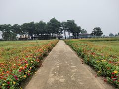 -碣石国家级海洋公园