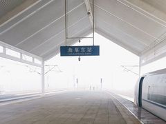 -曲阜东站