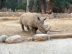 -北京野生动物园