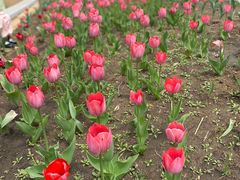 -长春公园(普阳街道)