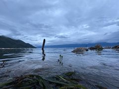 -大理洱海
