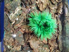 -V-ONE西雅图海鲜自助餐厅(仓山万达广场店)