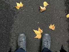 -楼外楼(西湖景区孤山路店)