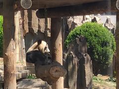 -大连森林动物园