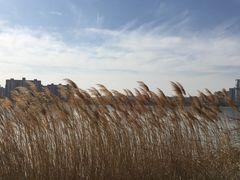 -象湖生态湿地公园