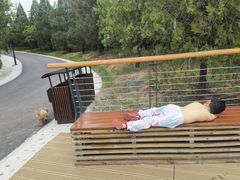 -白水寺森林公园