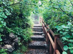 -府君山公园