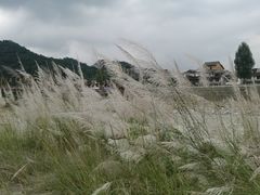 -海窝子古镇