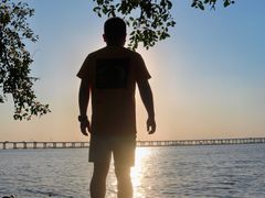 -宝安西湾红树林湿地公园