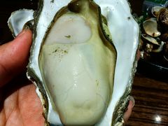 -蚝堡海鲜·威海菜·海肠捞饭·烧烤·亚洲吃蚝公司(幸福门店)