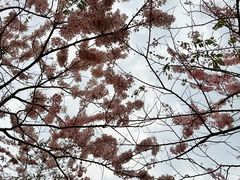 -白石龙音乐公园