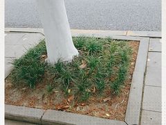 -中航城市广场