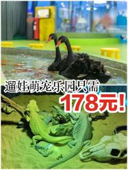 -七巧国萌宠乐园(龙湖天街店)