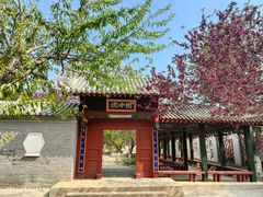 -桃花堤公园