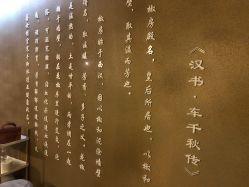 -肌理言健康美肌驻颜所